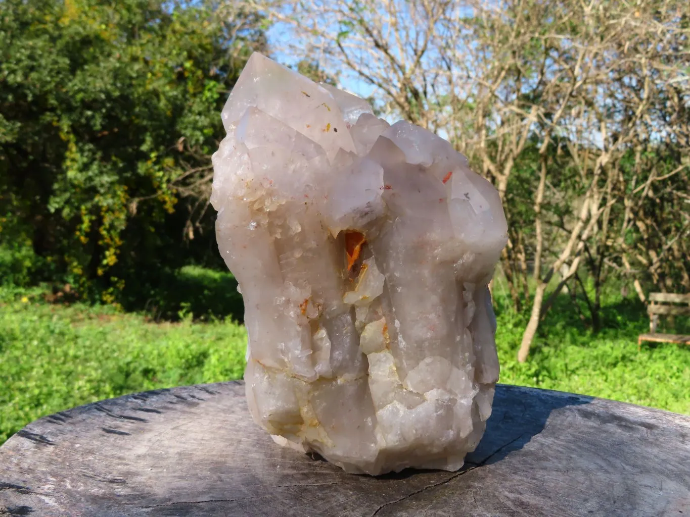 Natural Extra Large Half Polished Multi Terminated Arcadian Crystal Cluster x 1 From Angola