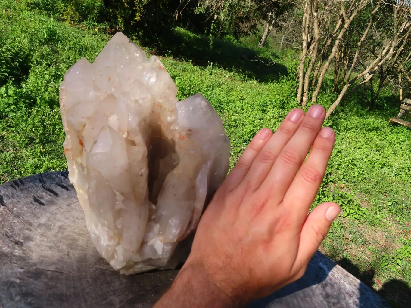 Natural Extra Large Half Polished Multi Terminated Arcadian Crystal Cluster x 1 From Angola