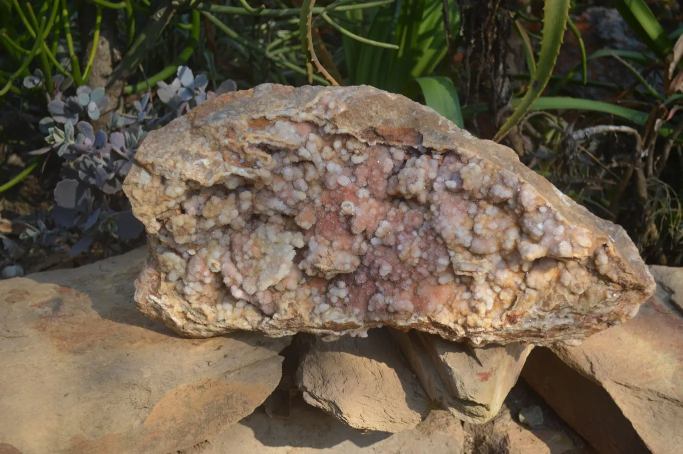 Natural Extra Large Hematoid Spirit Quartz Crystal Plate Specimen x 1 From Boekenhouthoek, South Africa