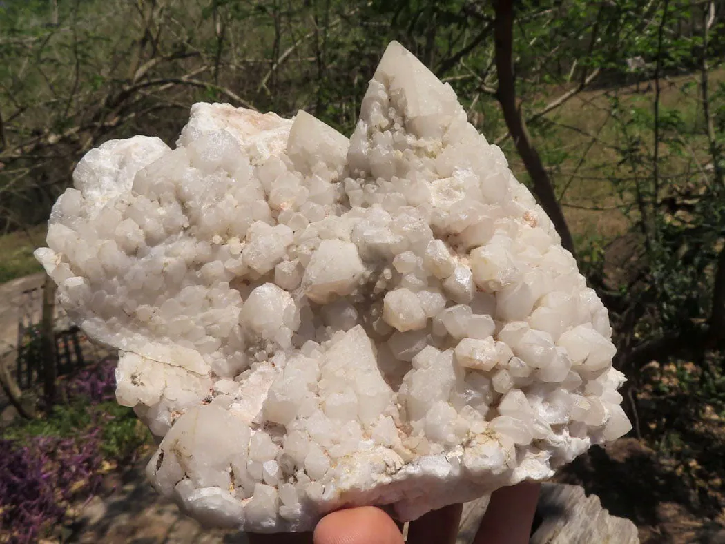 Natural Extra Large Pineapple Quartz Cluster  x 1 From Mandrosonoro, Madagascar