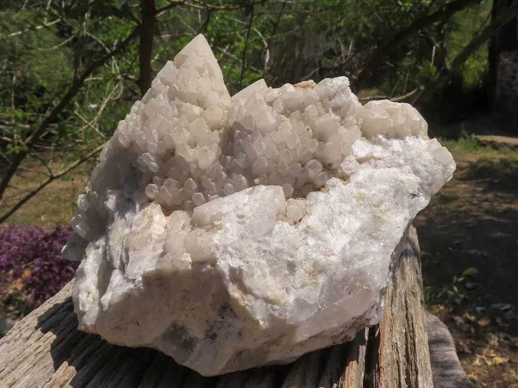 Natural Extra Large Pineapple Quartz Cluster  x 1 From Mandrosonoro, Madagascar