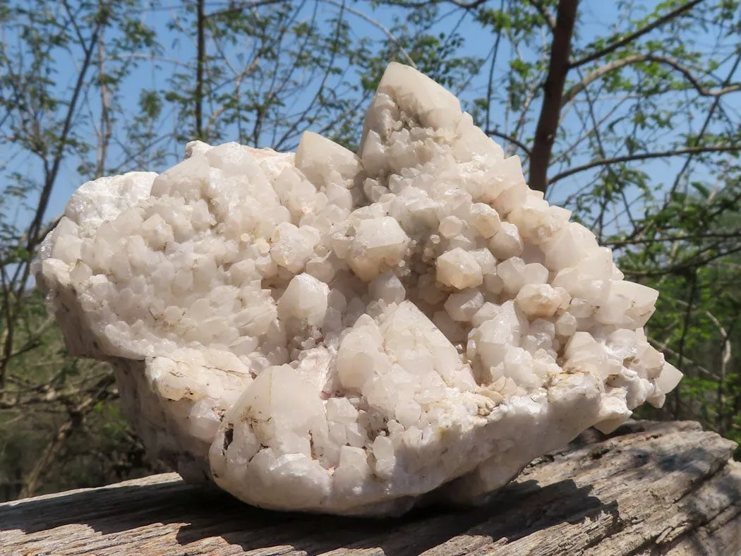 Natural Extra Large Pineapple Quartz Cluster  x 1 From Mandrosonoro, Madagascar