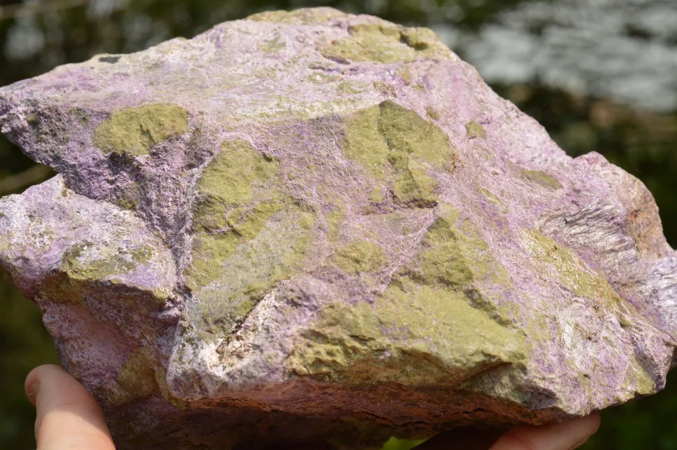 Natural Extra Large Rough Stichtite & Serpentine Specimen x 1 From Barberton, South Africa