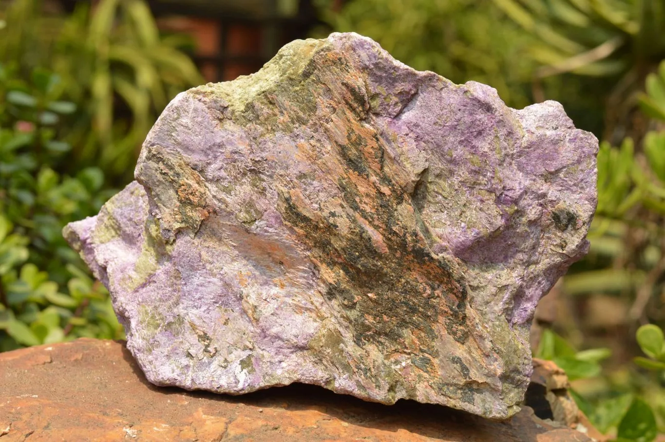 Natural Extra Large Rough Stichtite & Serpentine Specimen x 1 From Barberton, South Africa