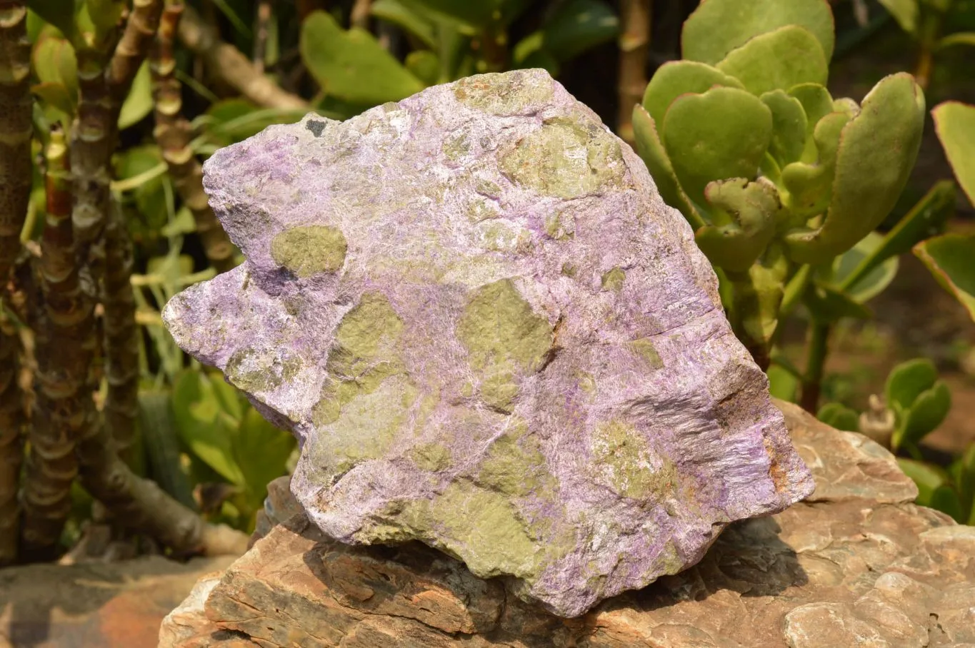 Natural Extra Large Rough Stichtite & Serpentine Specimen x 1 From Barberton, South Africa