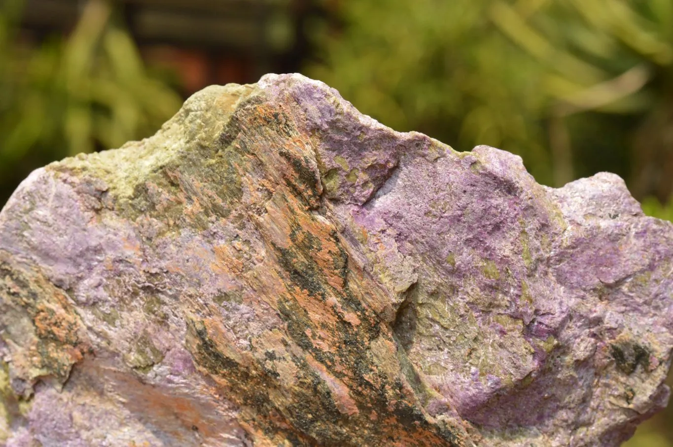 Natural Extra Large Rough Stichtite & Serpentine Specimen x 1 From Barberton, South Africa