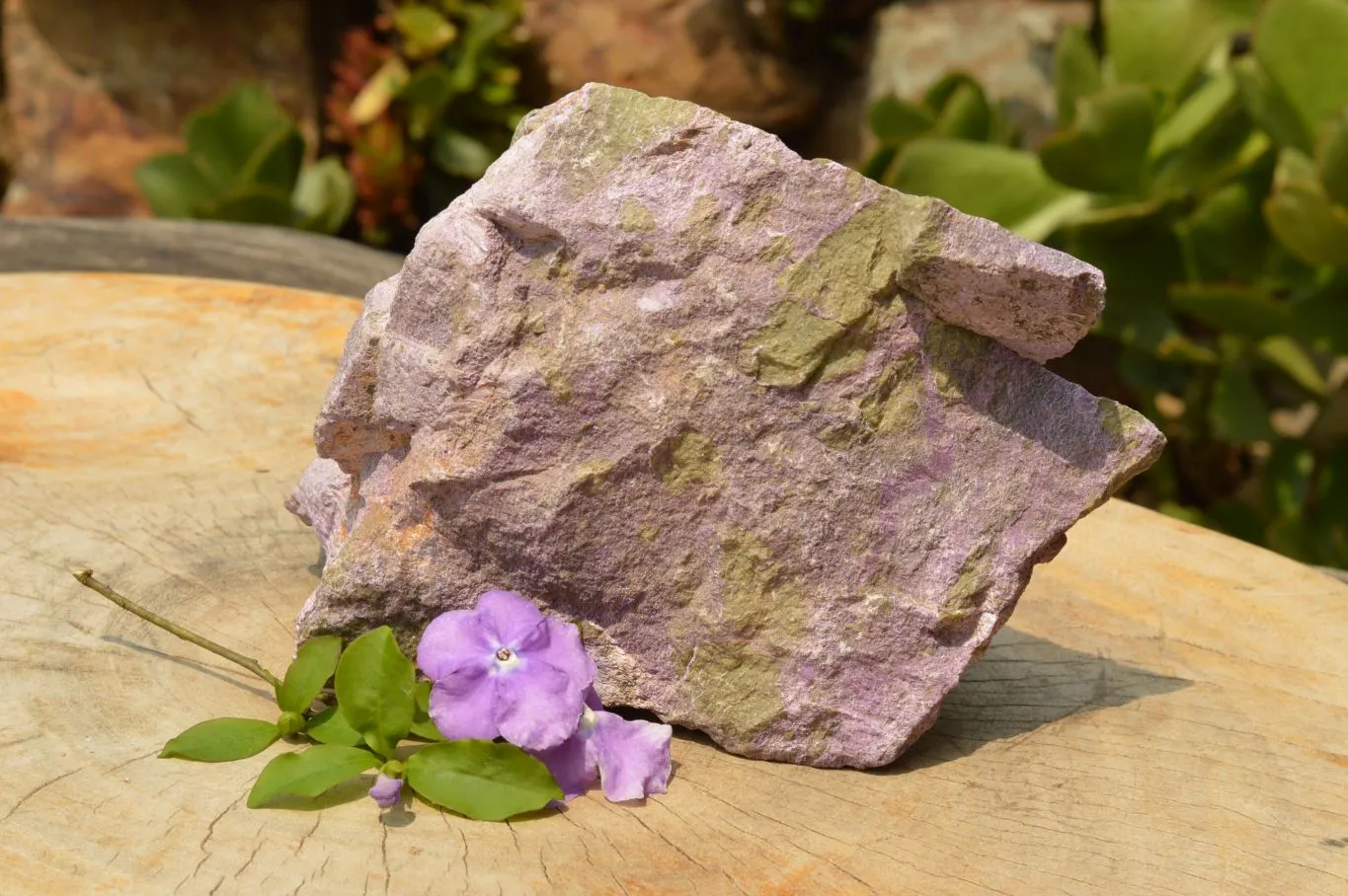 Natural Extra Large Rough Stichtite & Serpentine Specimen x 1 From Barberton, South Africa