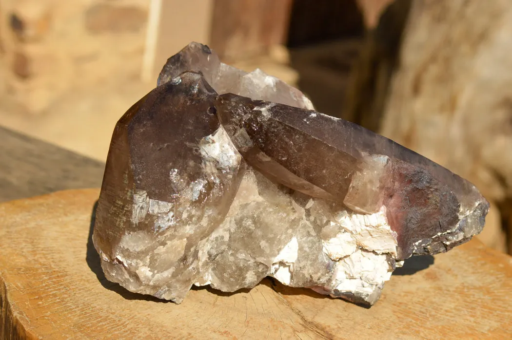 Natural Extra Large Self Healed Smokey Quartz Crystal Cluster x 1 From Mt. Mulanje, Malawi