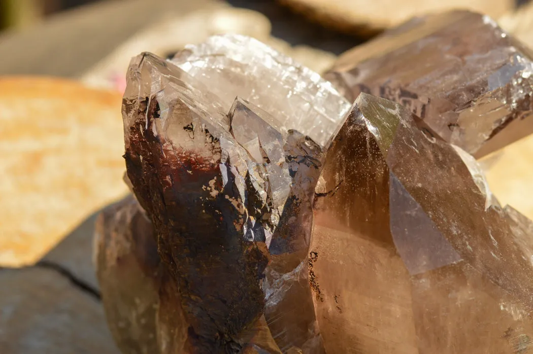 Natural Extra Large Self Healed Smokey Quartz Crystal Cluster x 1 From Mt. Mulanje, Malawi