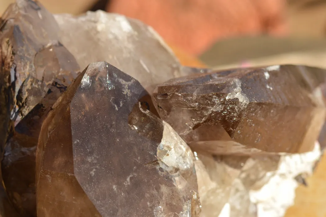 Natural Extra Large Self Healed Smokey Quartz Crystal Cluster x 1 From Mt. Mulanje, Malawi