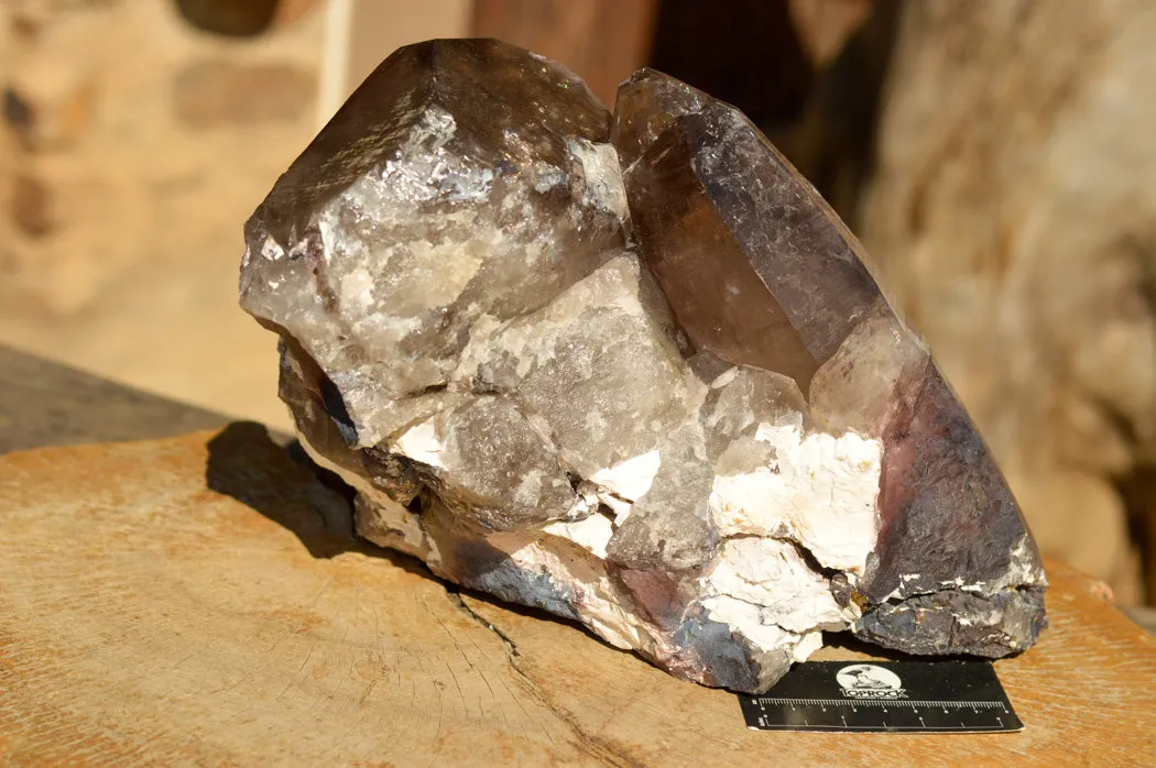 Natural Extra Large Self Healed Smokey Quartz Crystal Cluster x 1 From Mt. Mulanje, Malawi