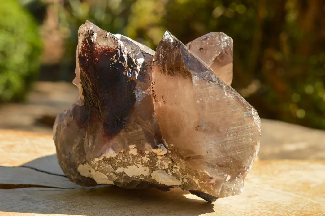 Natural Extra Large Self Healed Smokey Quartz Crystal Cluster x 1 From Mt. Mulanje, Malawi