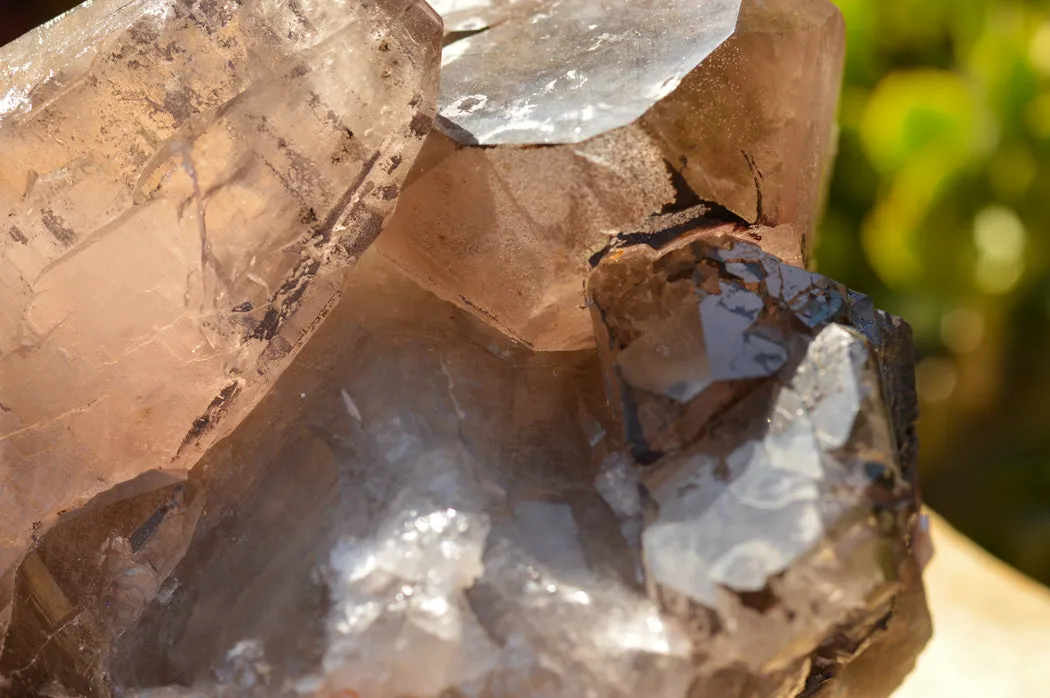 Natural Extra Large Self Healed Smokey Quartz Crystal Cluster x 1 From Mt. Mulanje, Malawi