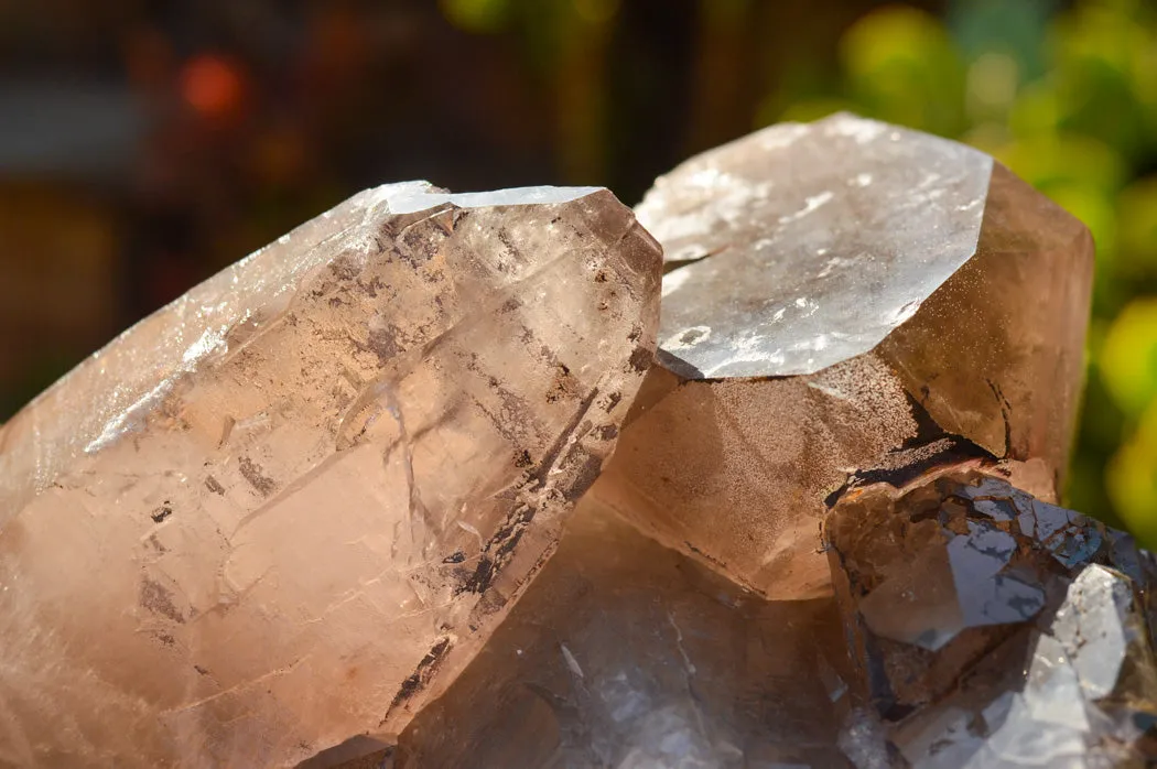 Natural Extra Large Self Healed Smokey Quartz Crystal Cluster x 1 From Mt. Mulanje, Malawi