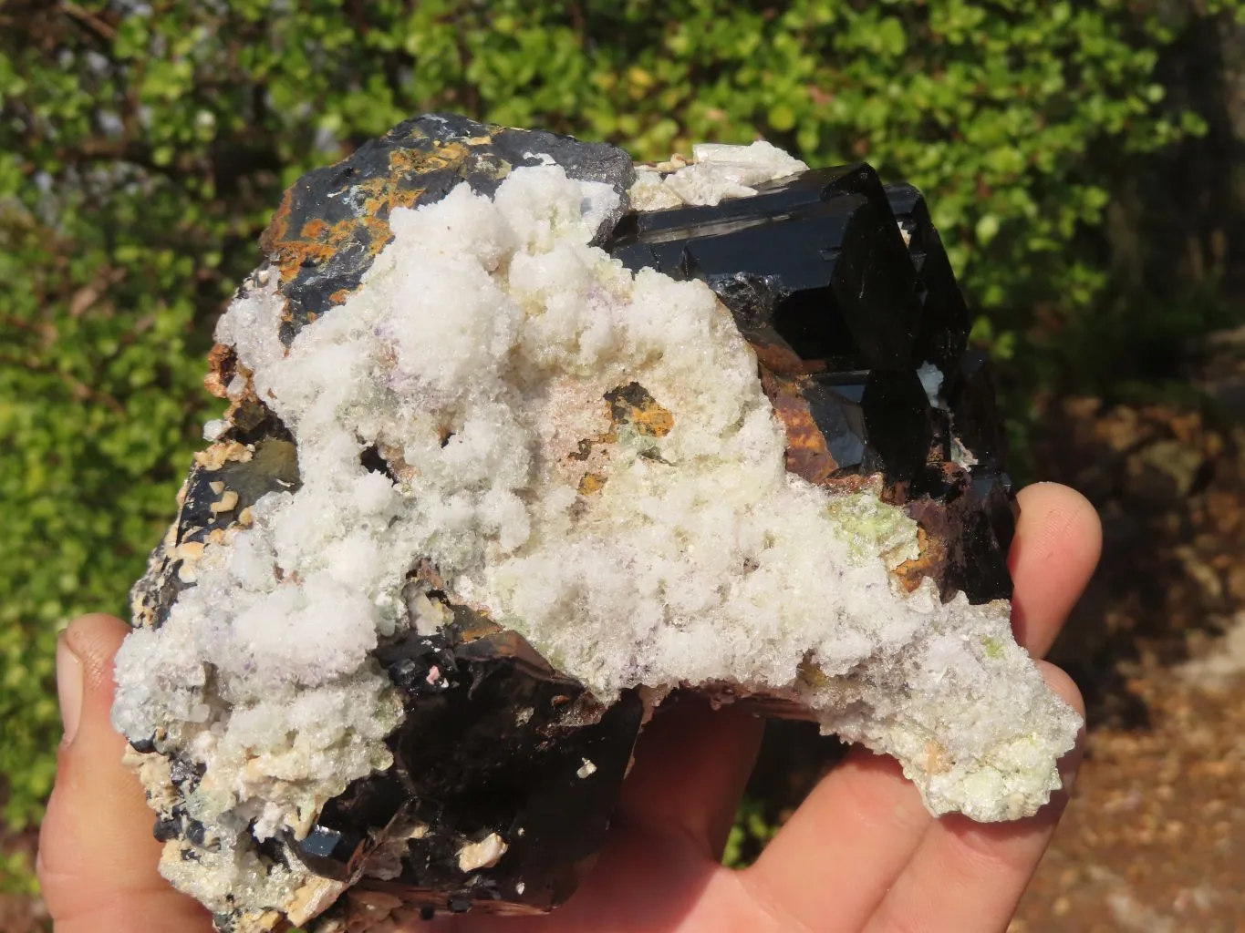 Natural Fluorescent Hyalite Opal Specimen With Schorl  x 1 From Erongo, Namibia