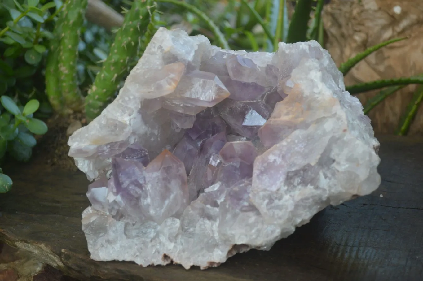 Natural Jacaranda Amethyst Geode Specimen x 1 From Zambia