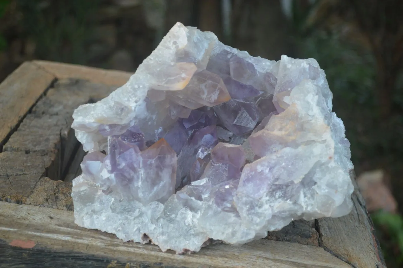 Natural Jacaranda Amethyst Geode Specimen x 1 From Zambia