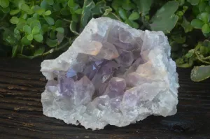 Natural Jacaranda Amethyst Geode Specimen x 1 From Zambia