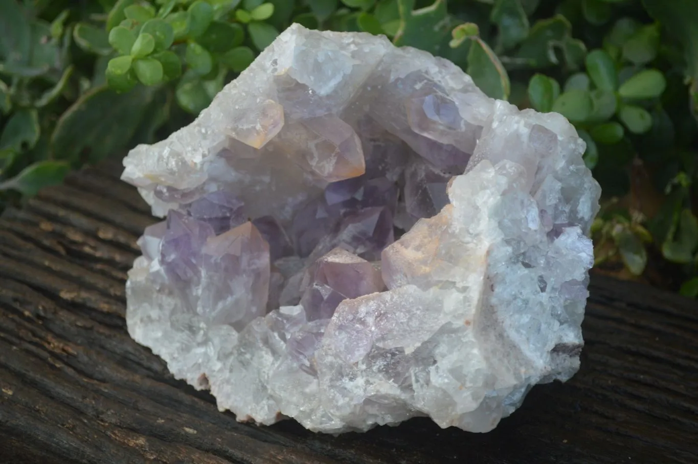 Natural Jacaranda Amethyst Geode Specimen x 1 From Zambia