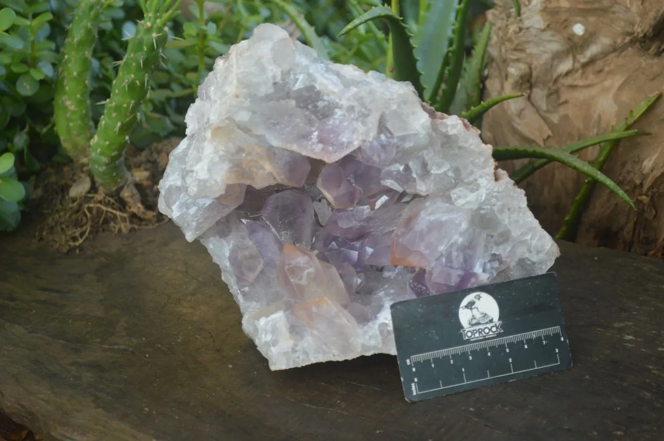 Natural Jacaranda Amethyst Geode Specimen x 1 From Zambia