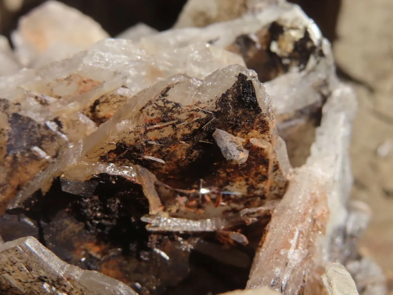 Natural Large Bladed Baryte Specimen  x 1 From Congo