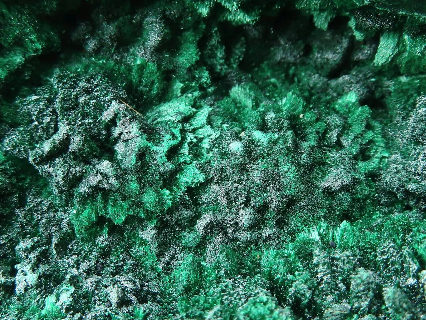 Natural Large Chatoyant Silky Malachite Specimen x 1 From Congo