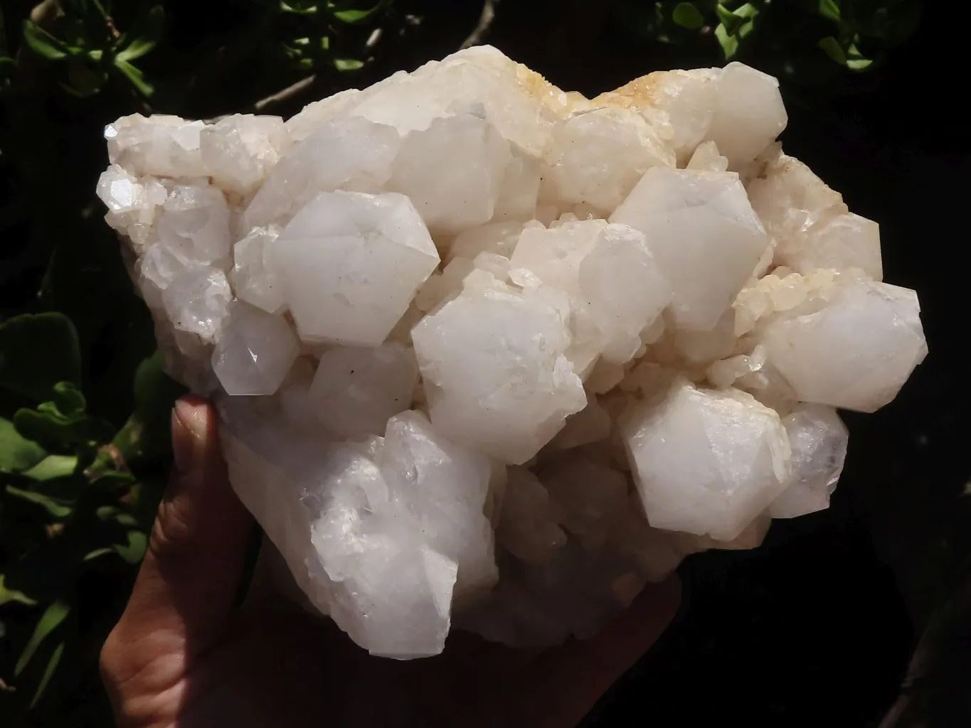 Natural Large White Phantom Quartz Cluster  x 1 From Madagascar