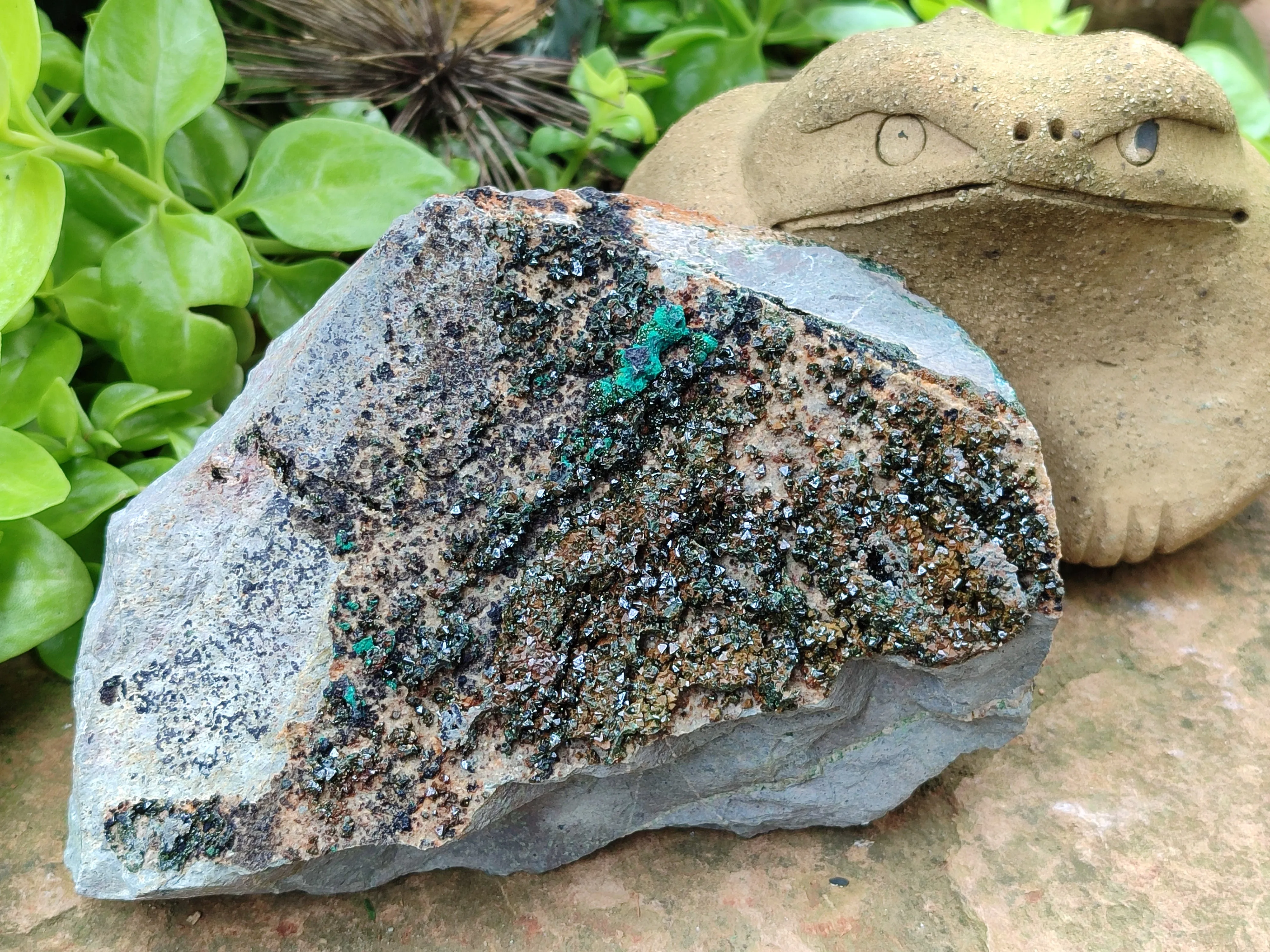 Natural Libethenite Crystals On Dolomite Matrix Specimens x 1 From Shituru, Congo