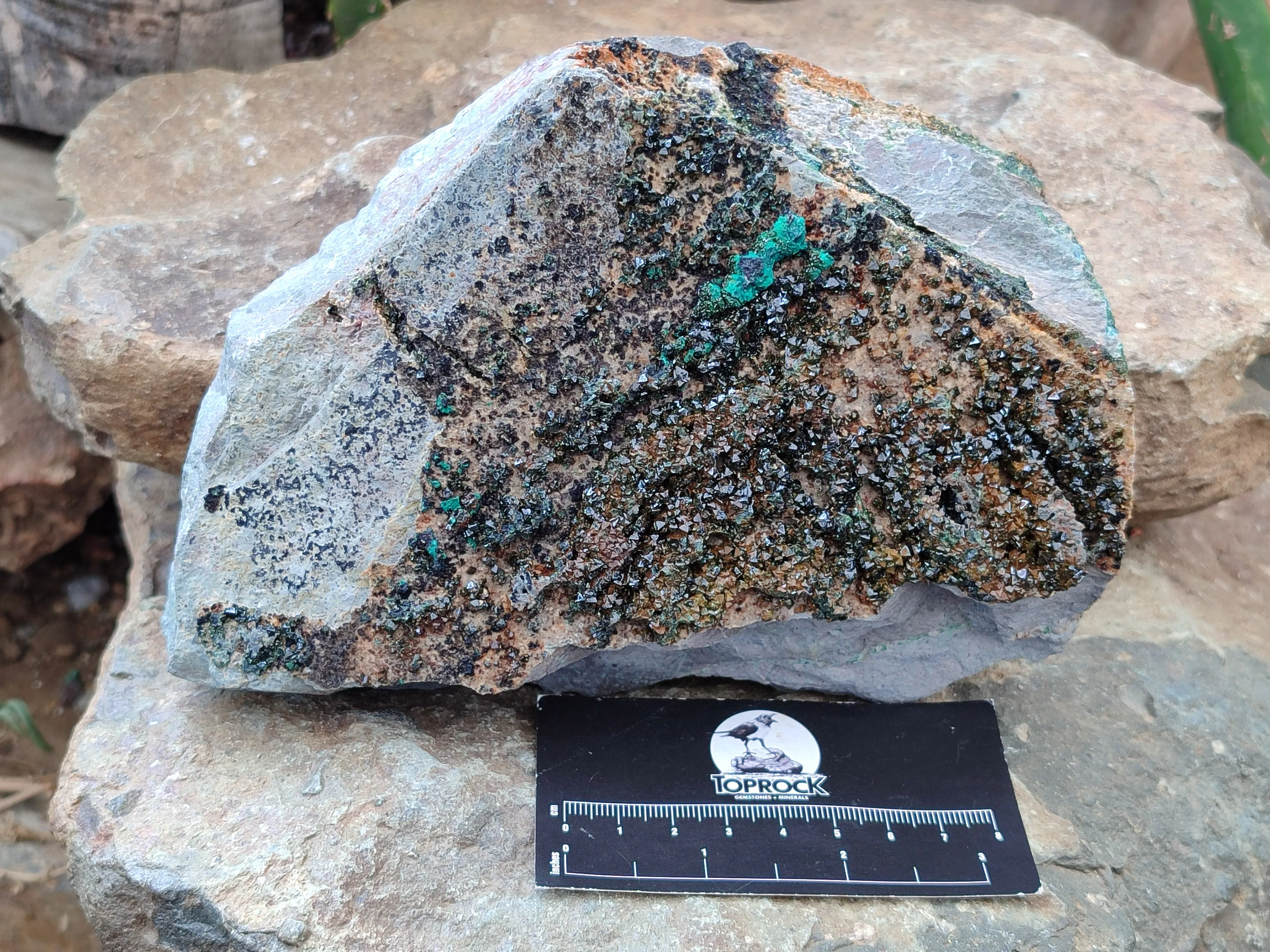 Natural Libethenite Crystals On Dolomite Matrix Specimens x 1 From Shituru, Congo