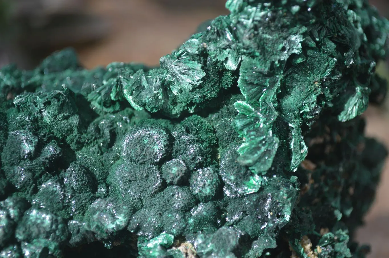 Natural Silky Malachite Specimen  x 1 From Kasompe, Congo