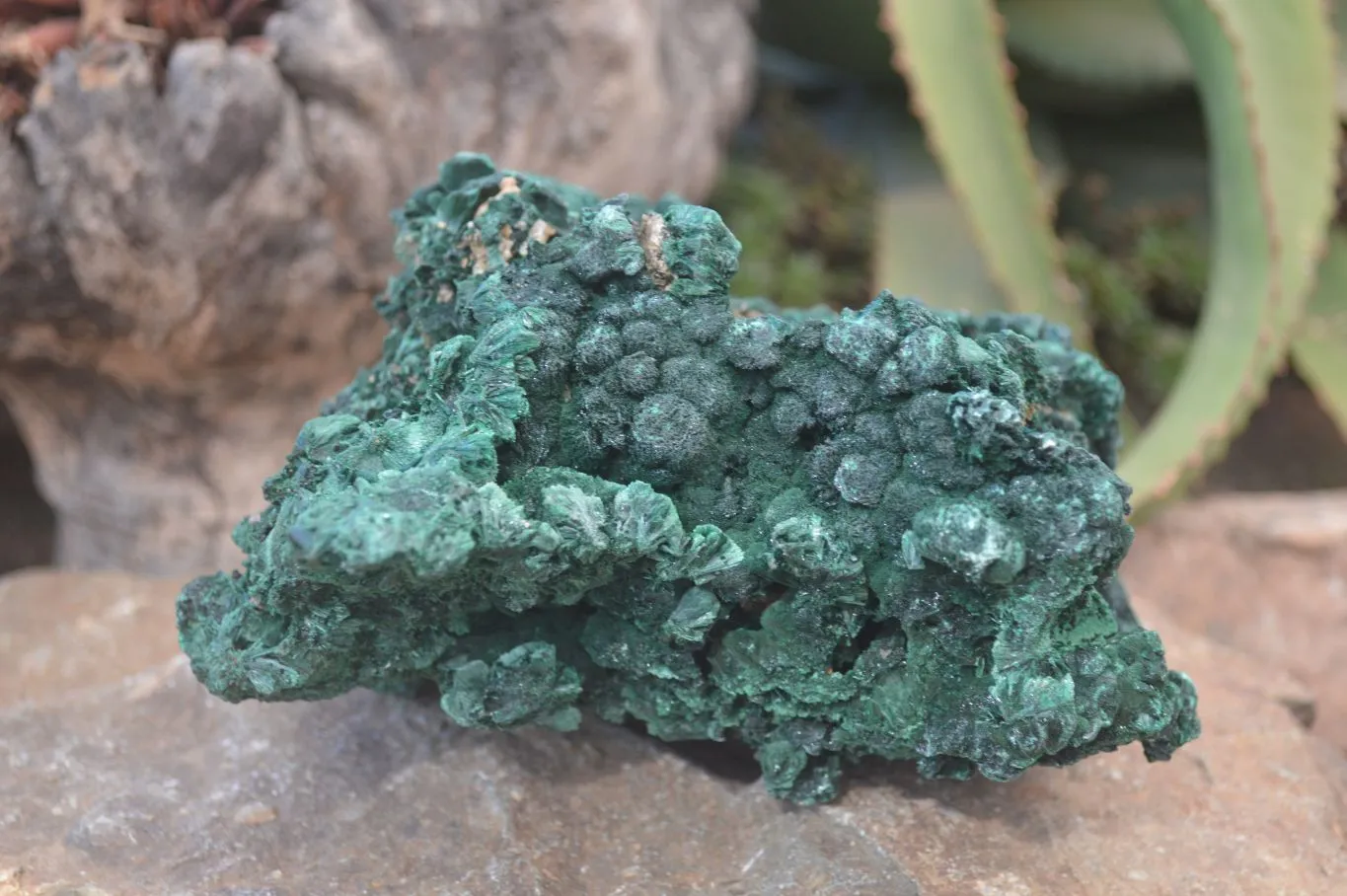 Natural Silky Malachite Specimen  x 1 From Kasompe, Congo