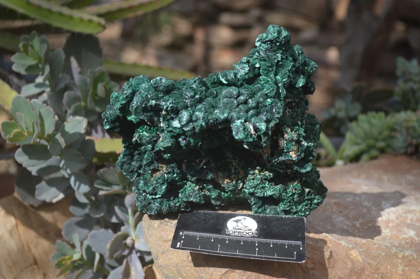 Natural Silky Malachite Specimen  x 1 From Kasompe, Congo