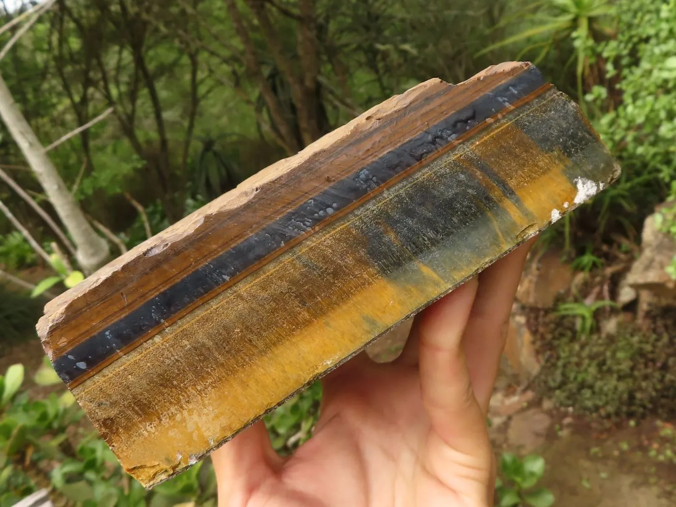 Natural Solid Blue & Gold Tigers Eye Slab x 1 From Prieska, South Africa