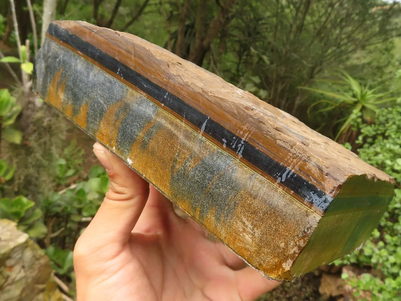 Natural Solid Blue & Gold Tigers Eye Slab x 1 From Prieska, South Africa