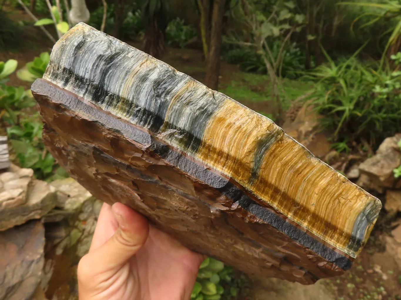 Natural Solid Blue & Gold Tigers Eye Slab x 1 From Prieska, South Africa