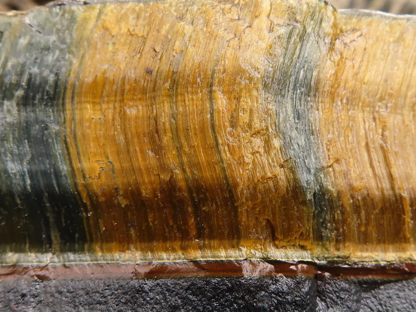 Natural Solid Blue & Gold Tigers Eye Slab x 1 From Prieska, South Africa