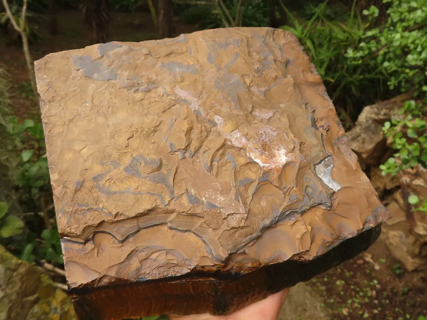 Natural Solid Blue & Gold Tigers Eye Slab x 1 From Prieska, South Africa