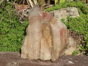 Natural XL Half Polished Quartz Crystal Cluster x 1 From Angola