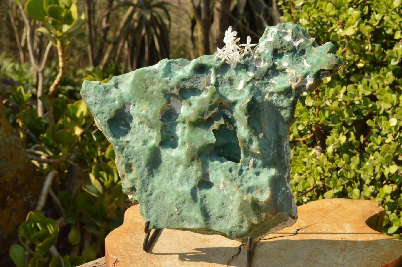 Natural XXL Emerald Mtorolite Plates With Stand x 1  From Mutorashanga, Zimbabwe