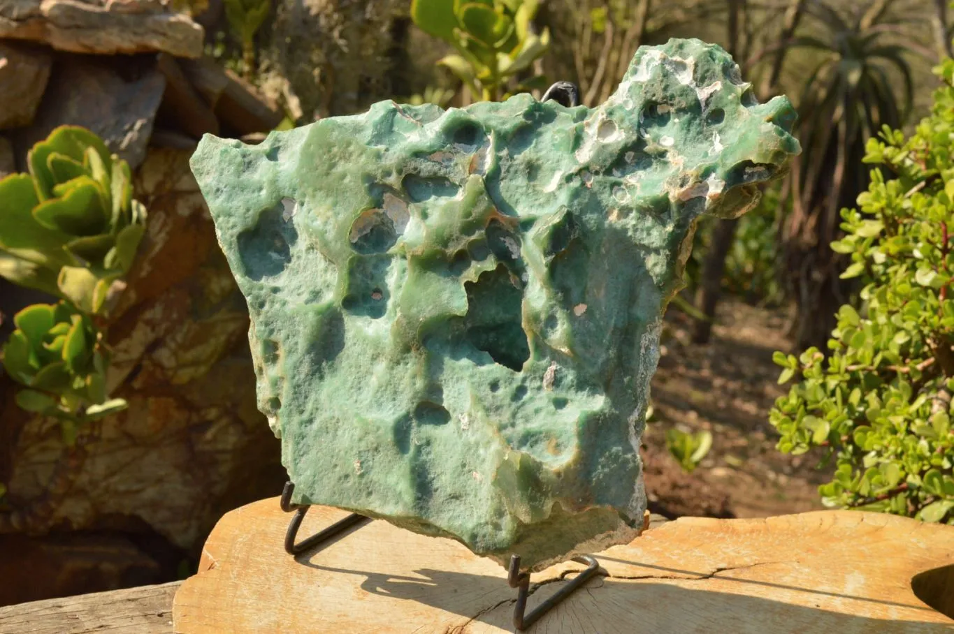 Natural XXL Emerald Mtorolite Plates With Stand x 1  From Mutorashanga, Zimbabwe