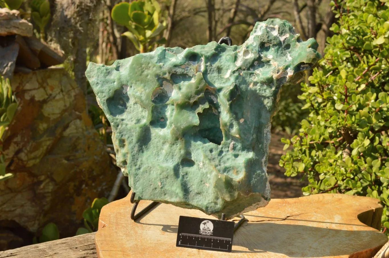 Natural XXL Emerald Mtorolite Plates With Stand x 1  From Mutorashanga, Zimbabwe