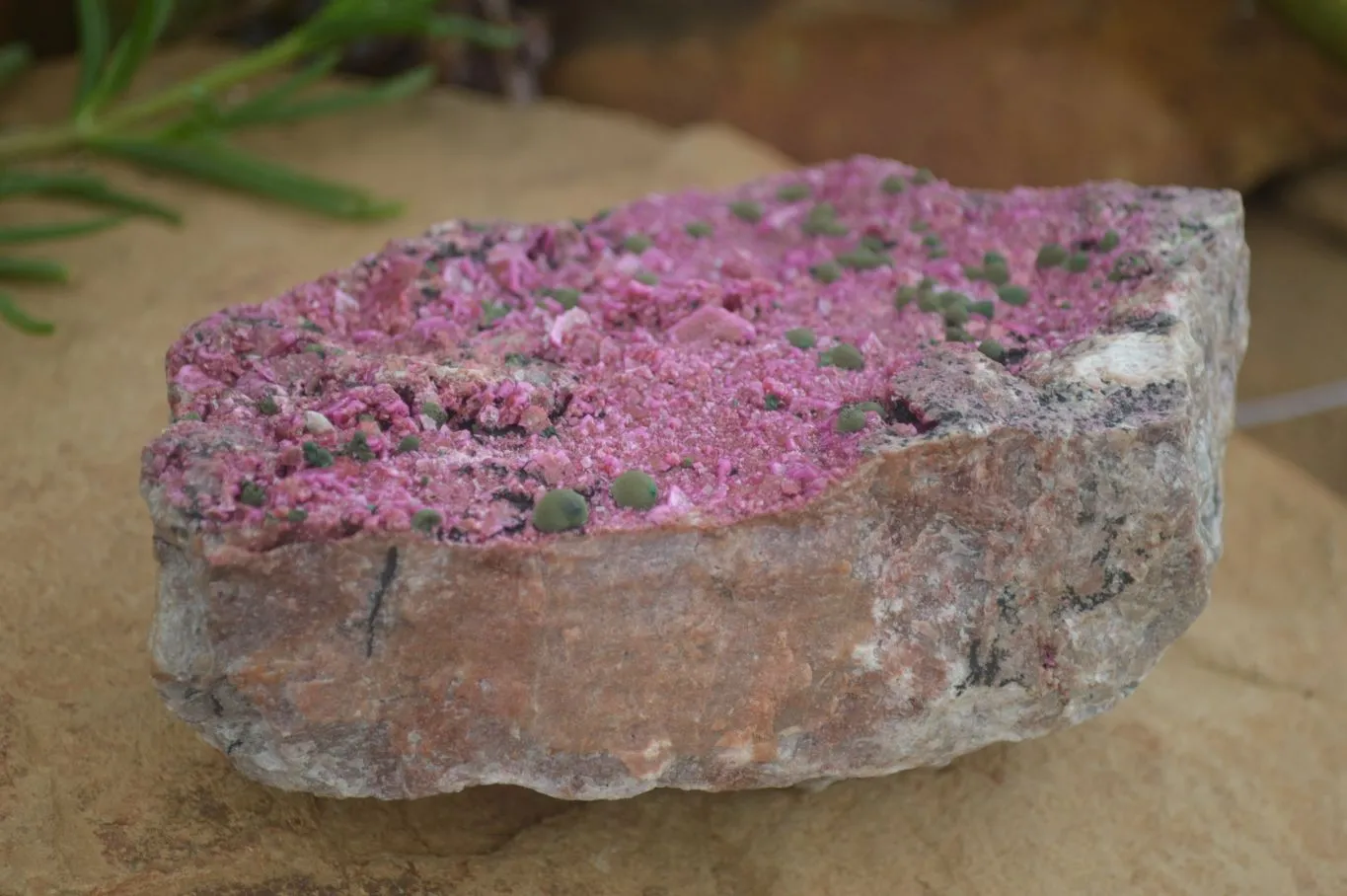 Natural XXL Pink Salrose Cobaltion Dolomite Specimen x 1 From Kakanda, Congo