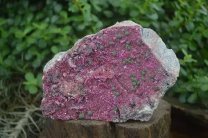 Natural XXL Pink Salrose Cobaltion Dolomite Specimen x 1 From Kakanda, Congo