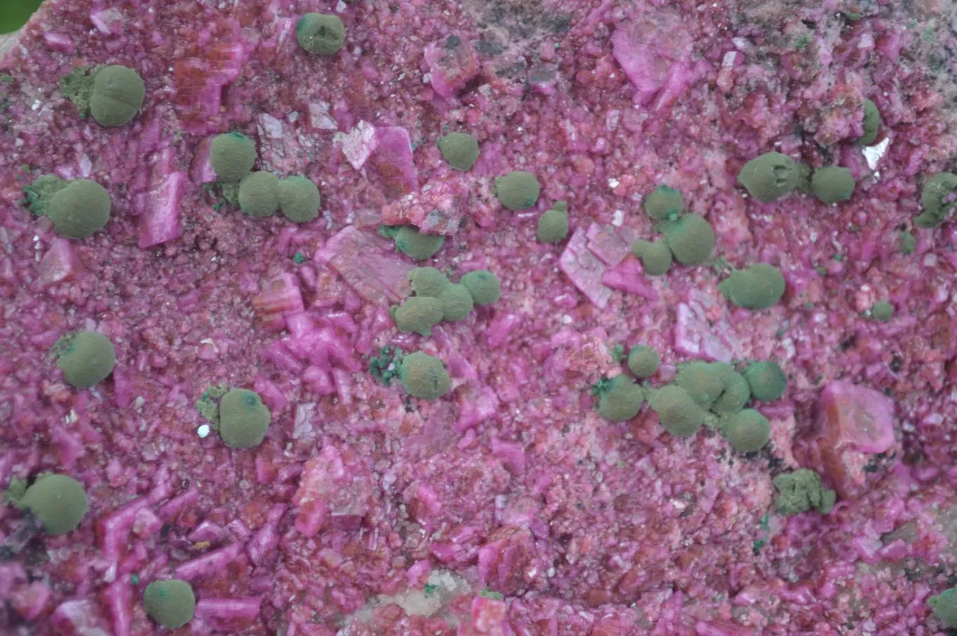 Natural XXL Pink Salrose Cobaltion Dolomite Specimen x 1 From Kakanda, Congo