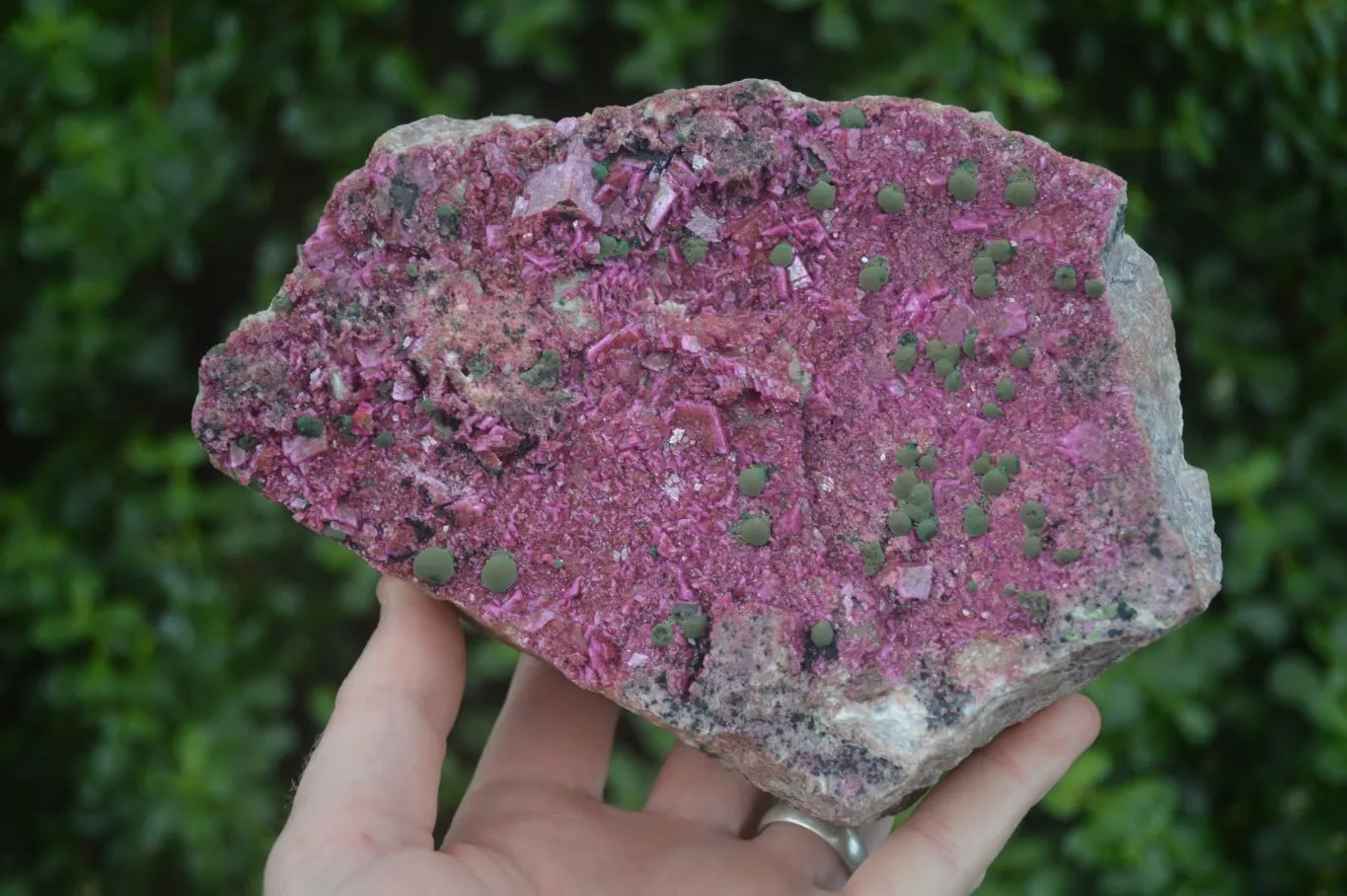 Natural XXL Pink Salrose Cobaltion Dolomite Specimen x 1 From Kakanda, Congo