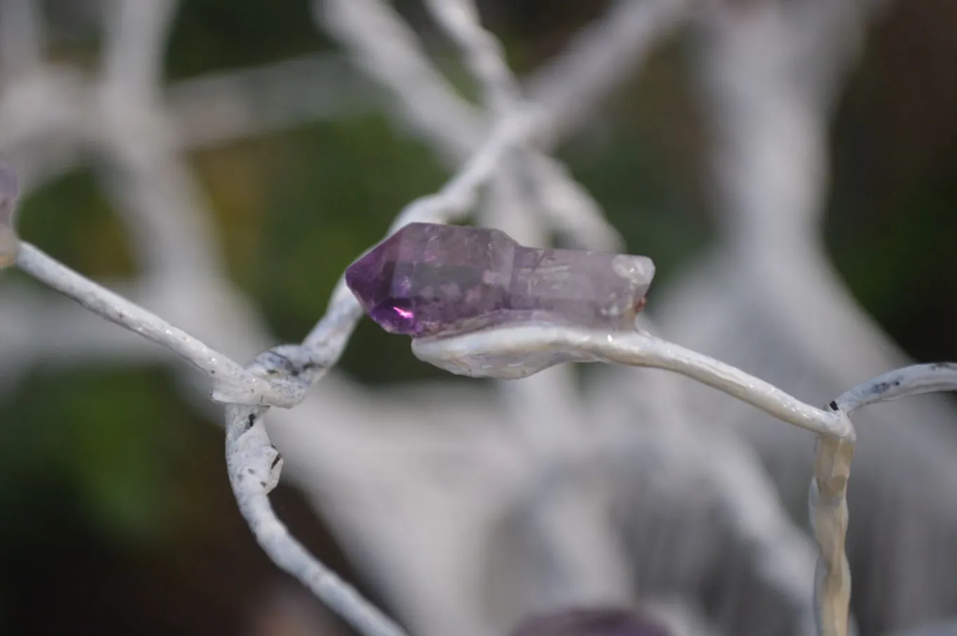 Polished Amethyst Gemstone Art Baobab Tree  x 1 From South Africa