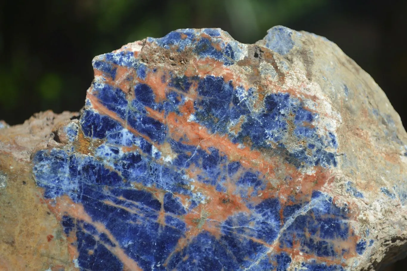 Polished Blue Sodalite Standing Slab x 1 From Namibia