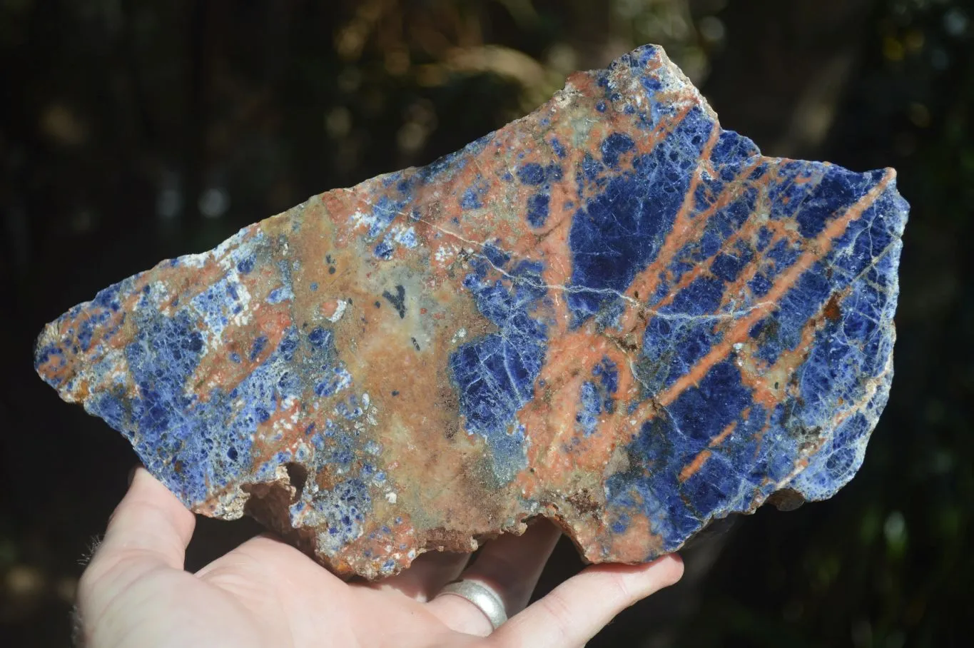 Polished Blue Sodalite Standing Slab x 1 From Namibia