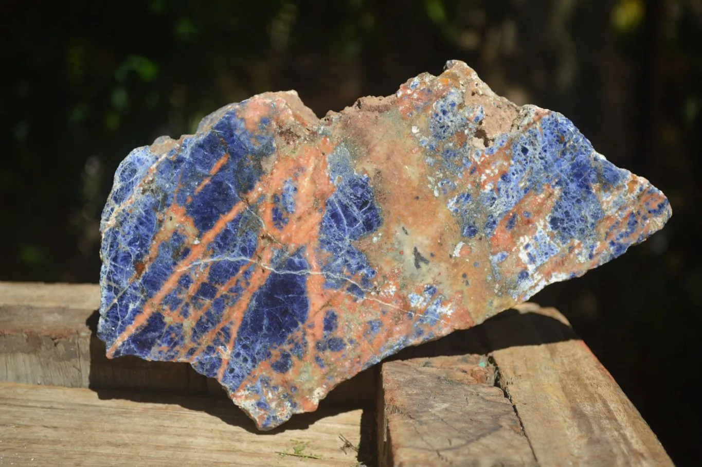 Polished Blue Sodalite Standing Slab x 1 From Namibia