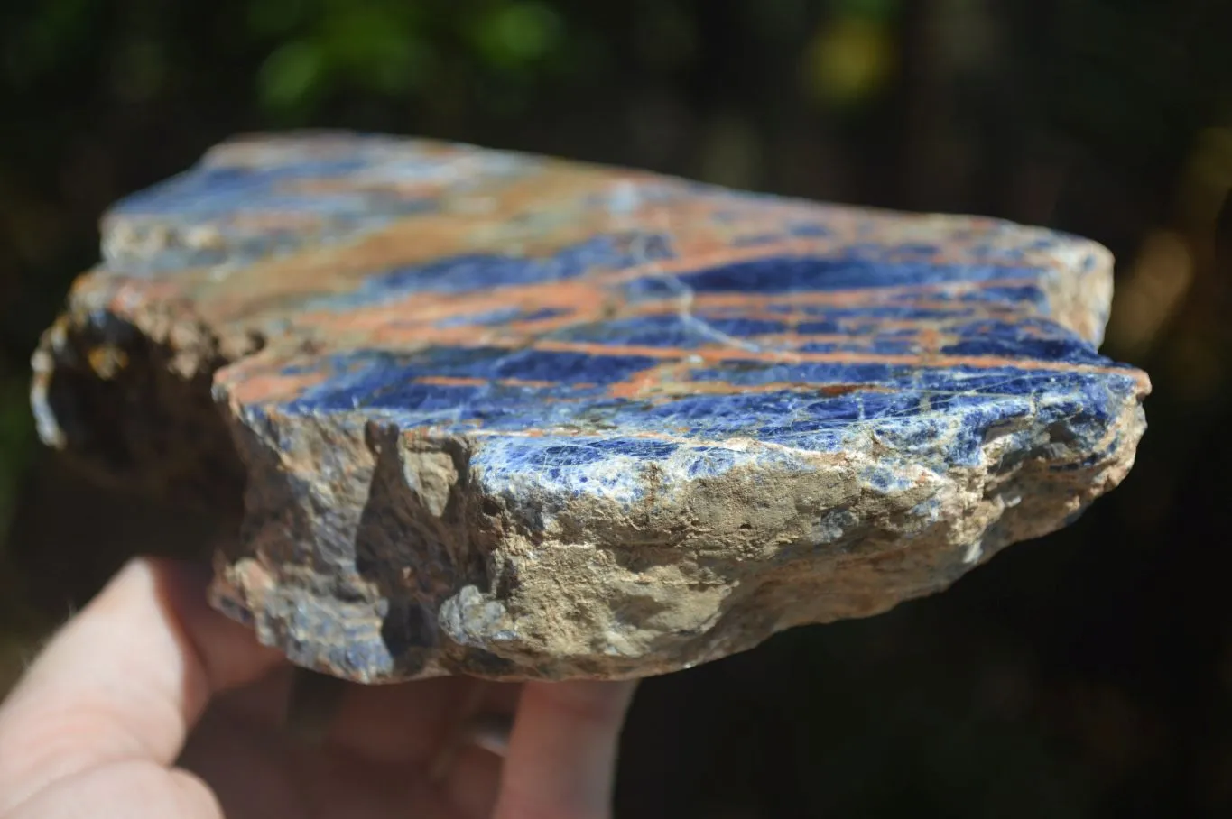 Polished Blue Sodalite Standing Slab x 1 From Namibia